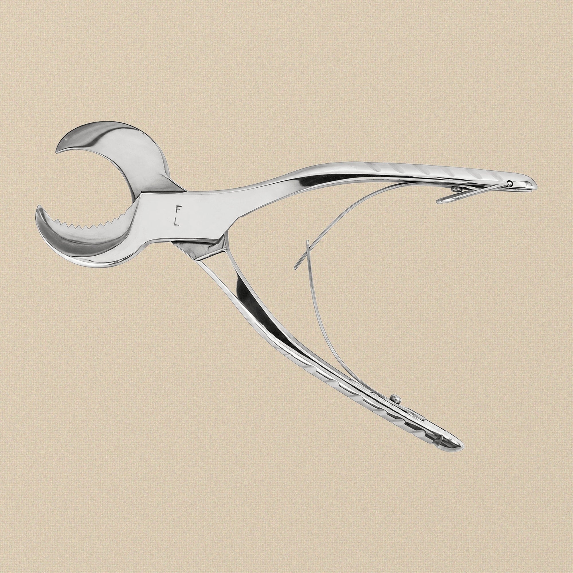 Surgical Steel Plaster Shears for Dental Labs, 165 mm (6.5") | Dental Instruments | Toolsmith Ltd UK