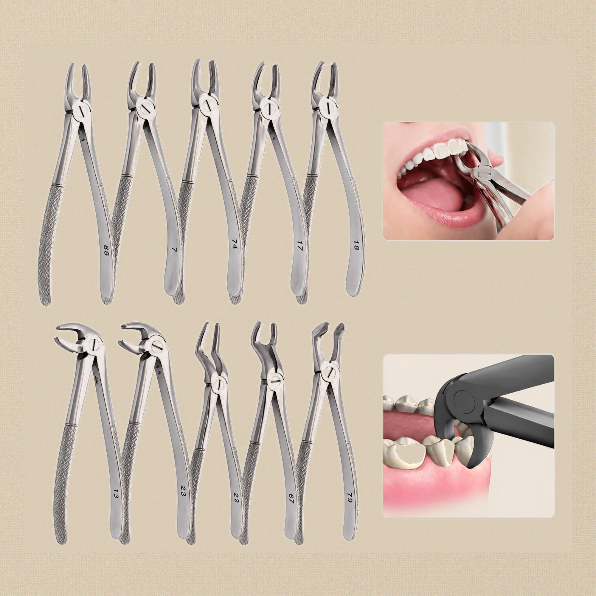 Stainless Steel Extraction Forceps Set, 10 Assorted Jaw Profiles for Precision Work | Forceps Set | Toolsmith Ltd UK