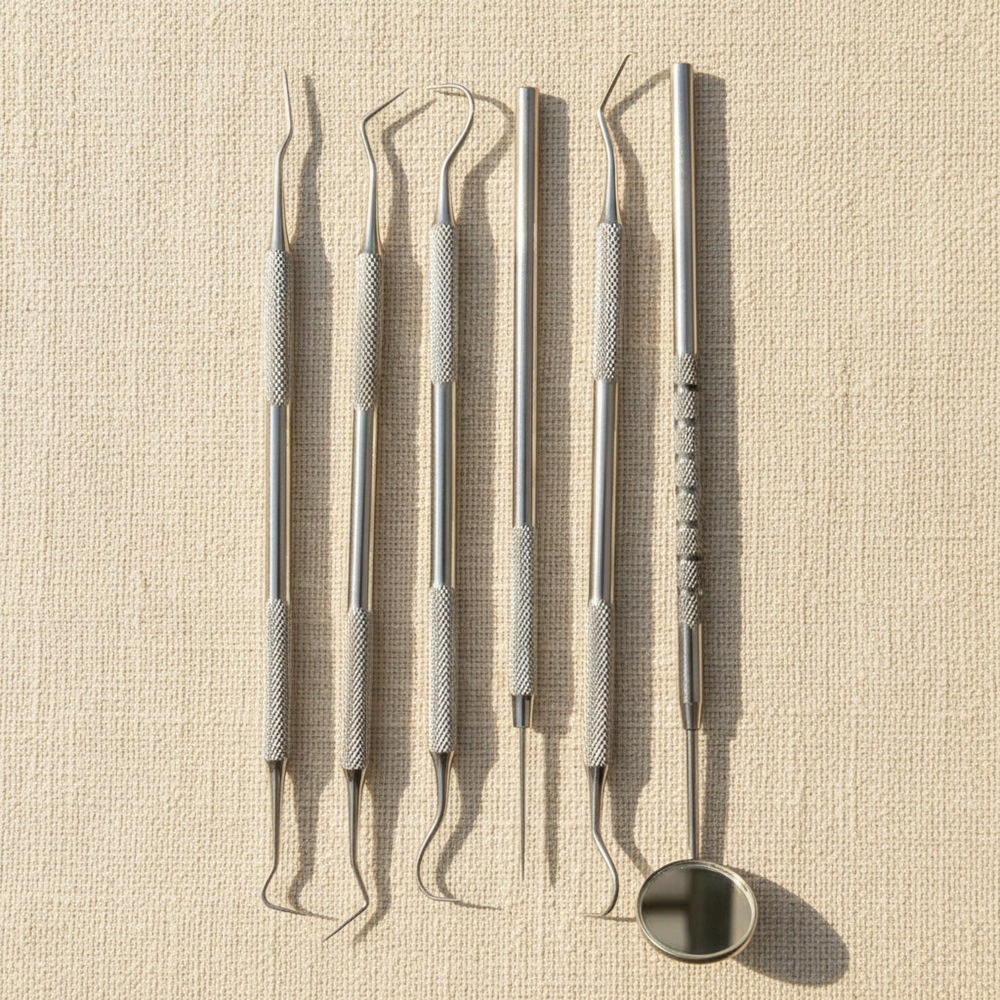 6-Piece Stainless Steel Precision Probe and Scraper Set in Storage Pouch