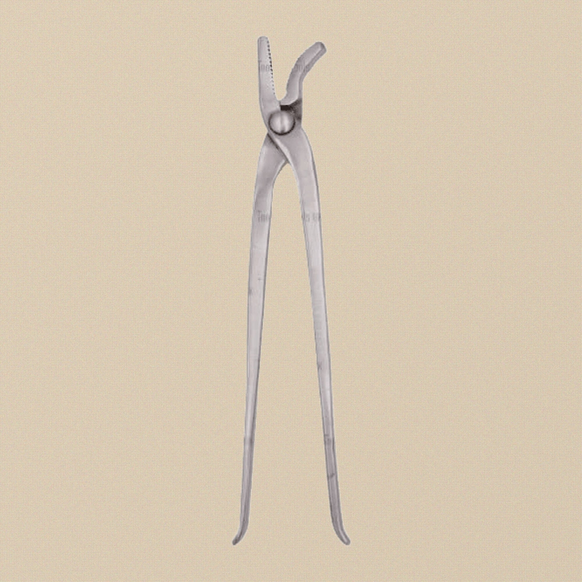Professional 12" Farrier Hoof Clincher, Curved Alligator Jaw Tongs, Horse Shoe Tool for Equine Care | Farrier & Veterinary Tools | Toolsmith Ltd UK