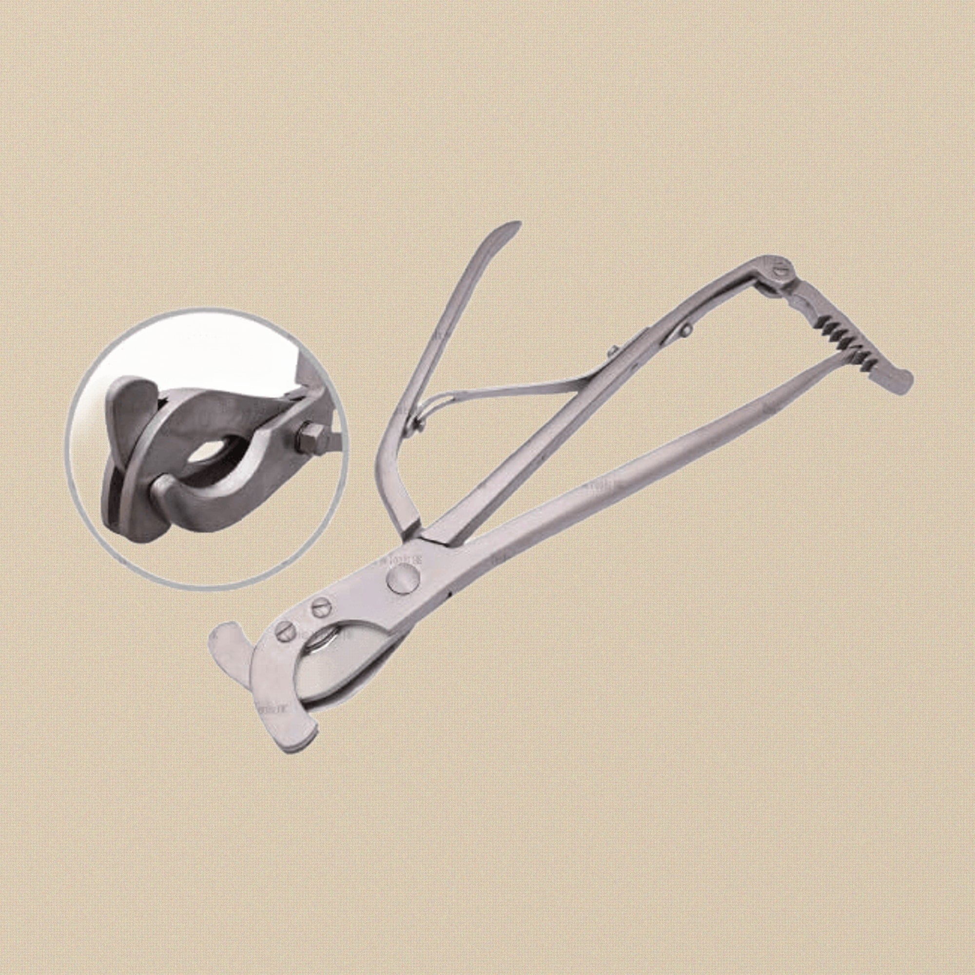 Professional Heavy Duty Emasculator with Back Lock, 14.5-Inch Stainless Steel Veterinary Castration Instrument for Livestock | Veterinary Instruments | Toolsmith Ltd UK