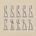 Stainless Steel Extraction Forceps Set, 10 Assorted Jaw Profiles for Precision Work | Forceps Set | Toolsmith Ltd UK