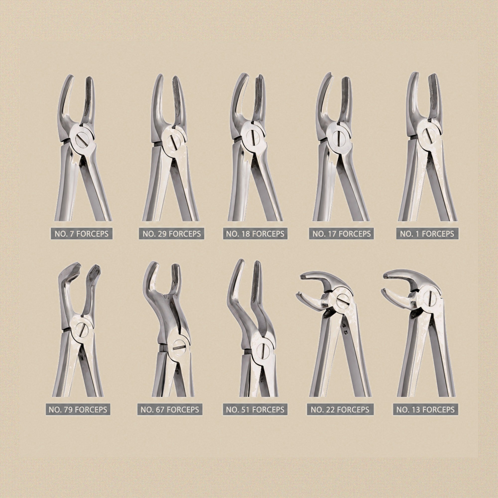 Stainless Steel Extraction Forceps Set, 10 Assorted Jaw Profiles for Precision Work | Forceps Set | Toolsmith Ltd UK