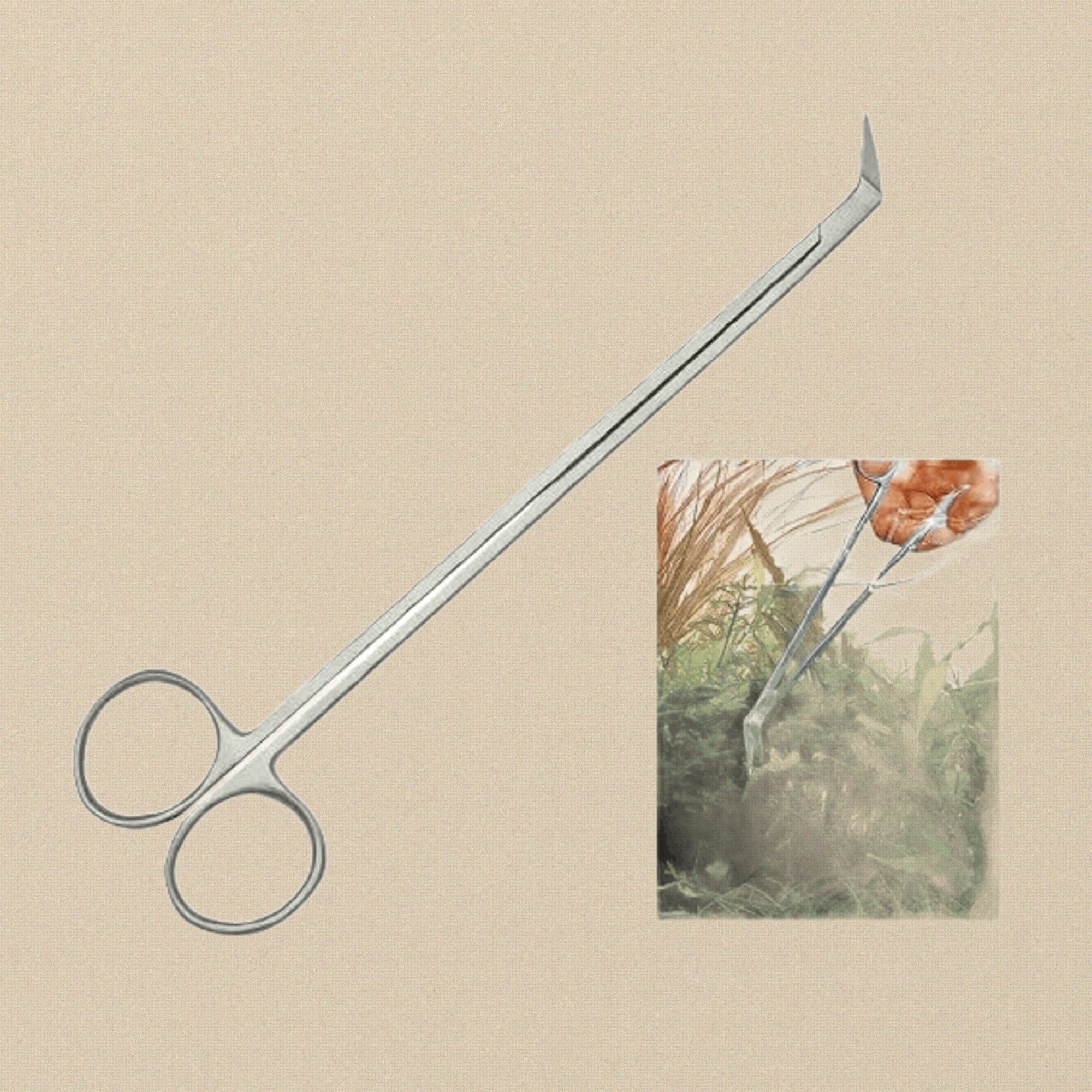 Aquarium Plant Scissors, 45 Degree Angled, Stainless Steel, 7.5" Long, Professional Tool for Aquascaping Maintenance and Trimming, Live Plants and Tank Care | Hobby & Craft Tools | Toolsmith Ltd UK