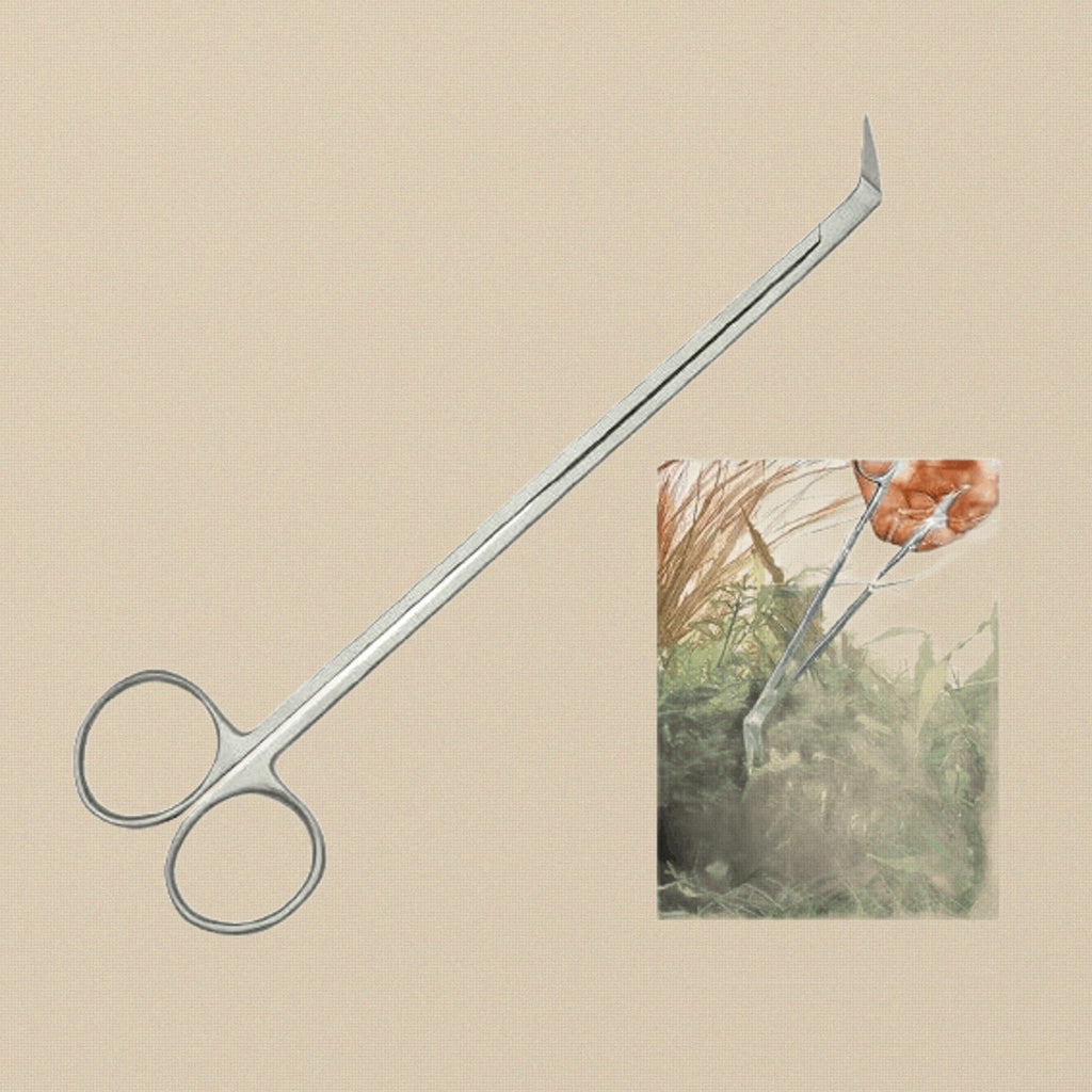 Aquarium Plant Scissors, 60 Degree AngledStainless Steel, 19 cm Length, Professional Tool for Aquascaping Maintenance and Live Plant Trimming | Hobby & Craft Tools | Toolsmith Ltd UK