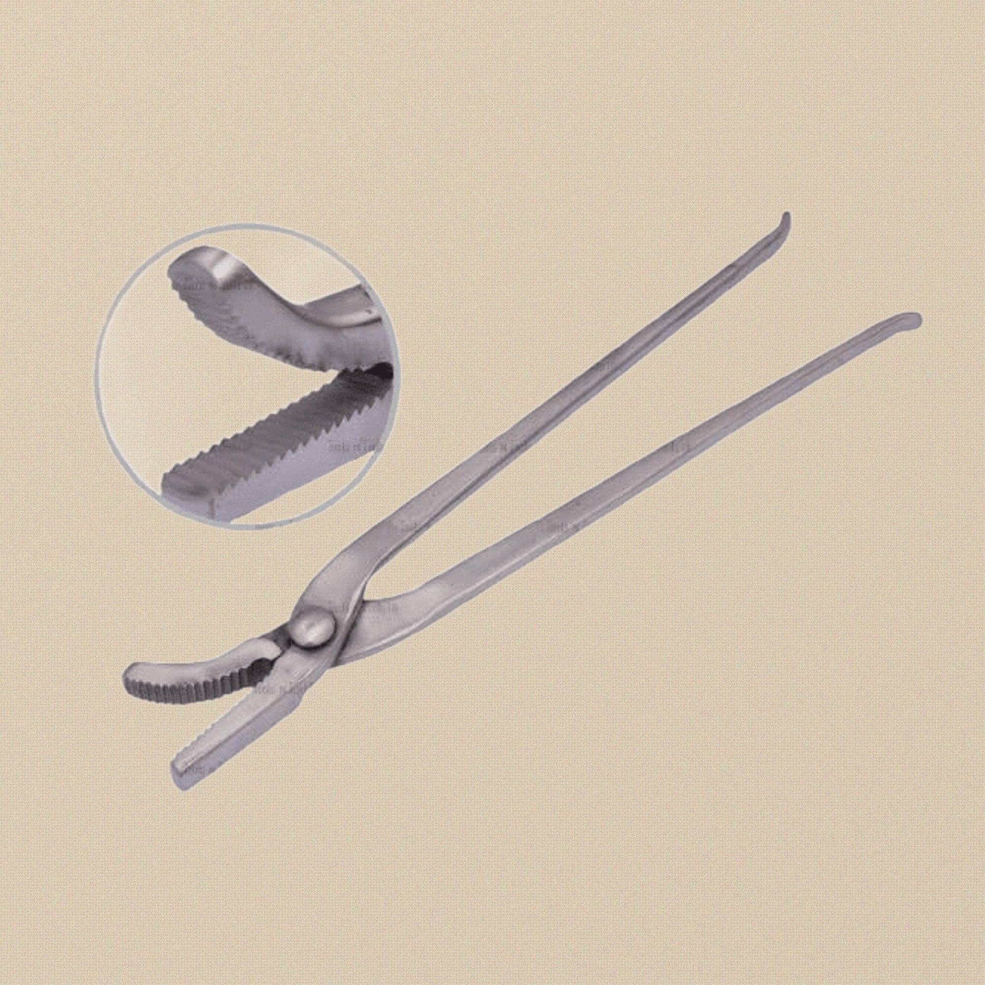 Professional 12" Farrier Hoof Clincher, Curved Alligator Jaw Tongs, Horse Shoe Tool for Equine Care | Farrier & Veterinary Tools | Toolsmith Ltd UK