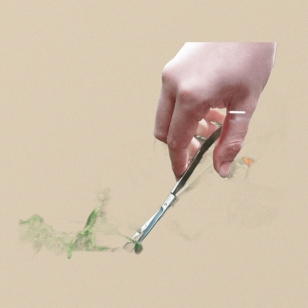 6 Inch Micro Spring Straight Scissors, Multi Purpose, Aquarium Plants, Hobby, Beading, Sewing, Crafts, Embroidery, Decoupage, Quilting, Applique, Detail Work | Hobby & Craft Tools | Toolsmith Ltd UK