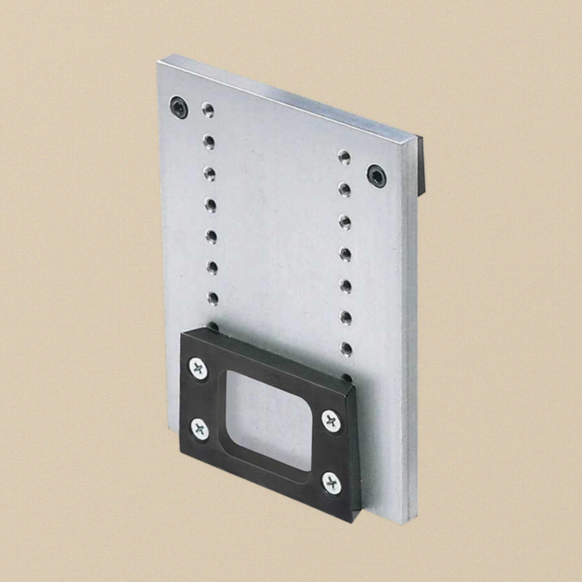 Stainless steel fixed mounting plate with the adjustable height bracket fitted