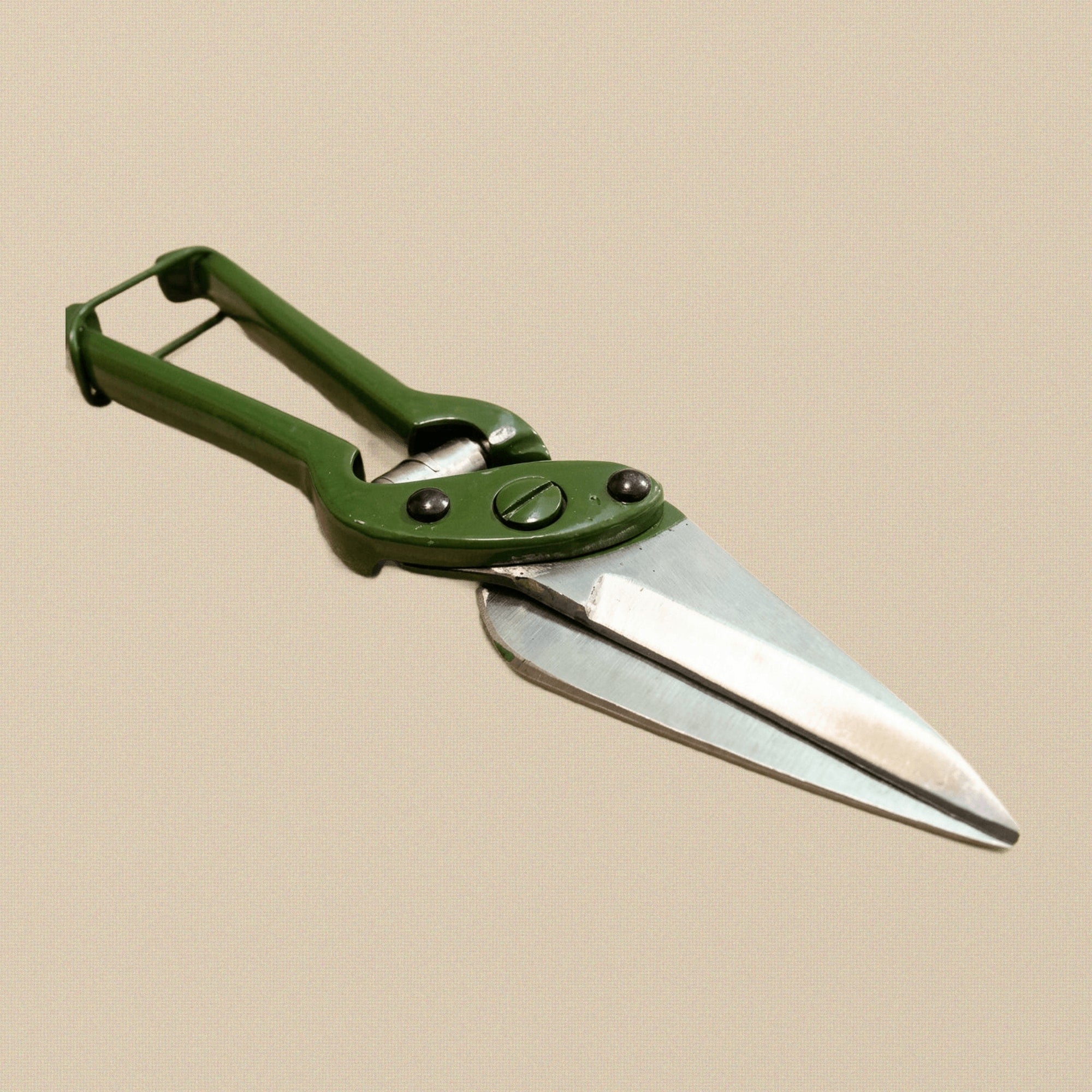 Professional Sheep Hoof Trimming Scissors, Green Steel Serrated Blades, Veterinary Foot Rot Shears for Livestock Care | Farrier & Veterinary Tools | Toolsmith Ltd UK