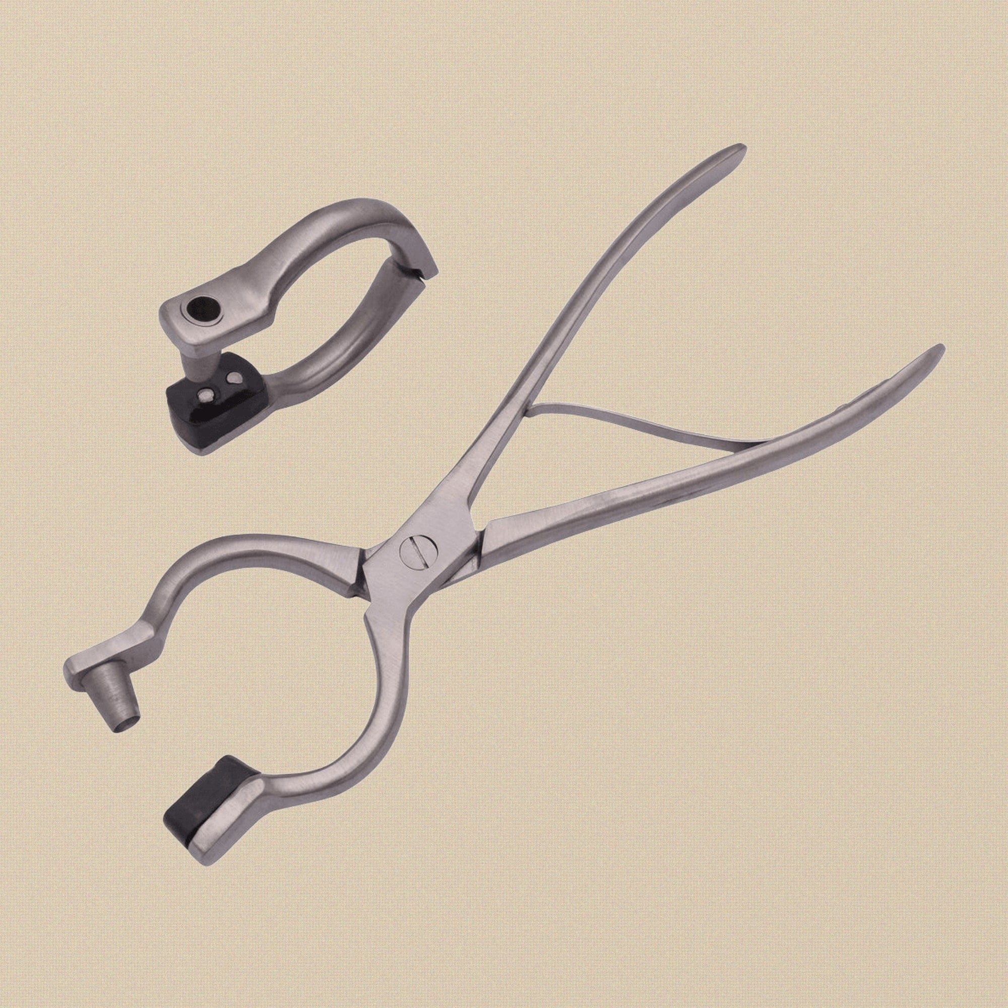 Professional Veterinary Bull Nose Ring Pliers, 10-Inch Stainless Steel and Heavy Duty, Cattle Handling Tool for Bulls and Cows | Veterinary Instruments | Toolsmith Ltd UK