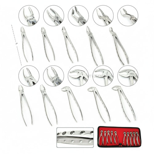 10-Piece Surgical Steel Forceps Set with Fenestrated Handles for Precision Grip | Forceps Set | Toolsmith Ltd UK
