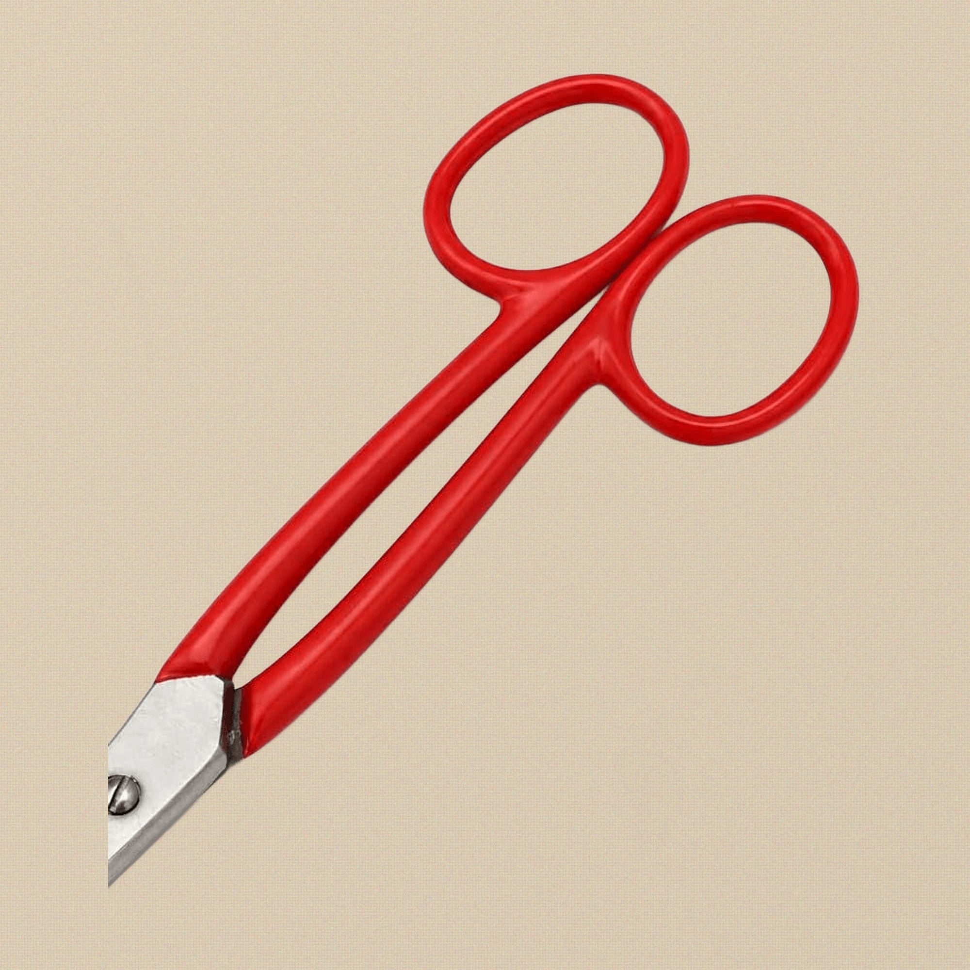 Heavy Duty Jewellers Shears, Stainless Steel, Straight Jaws, Scissor-Style