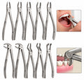 Stainless Steel Extraction Forceps Set, 10 Assorted Jaw Profiles for Precision Work | Forceps Set | Toolsmith Ltd UK