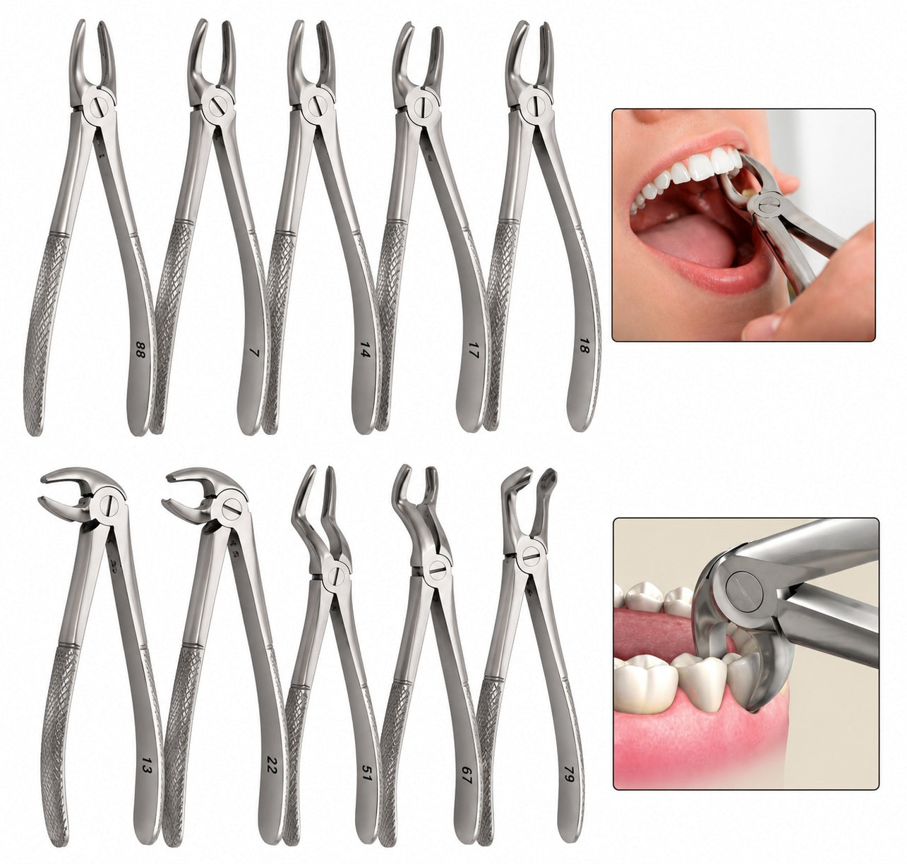 Stainless Steel Extraction Forceps Set, 10 Assorted Jaw Profiles for Precision Work | Forceps Set | Toolsmith Ltd UK