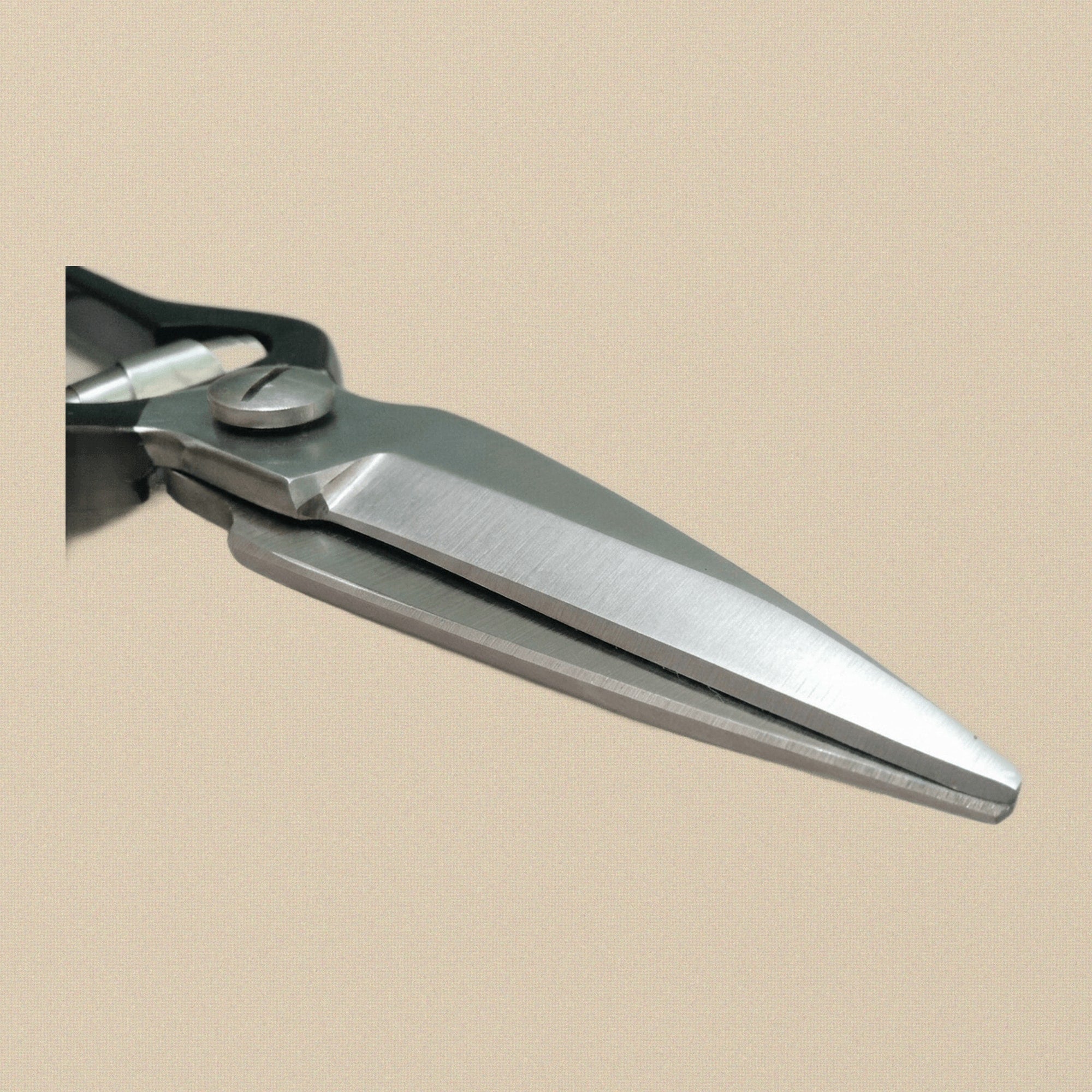 Close-up of the serrated and sharp blades on the stainless steel foot rot shears.