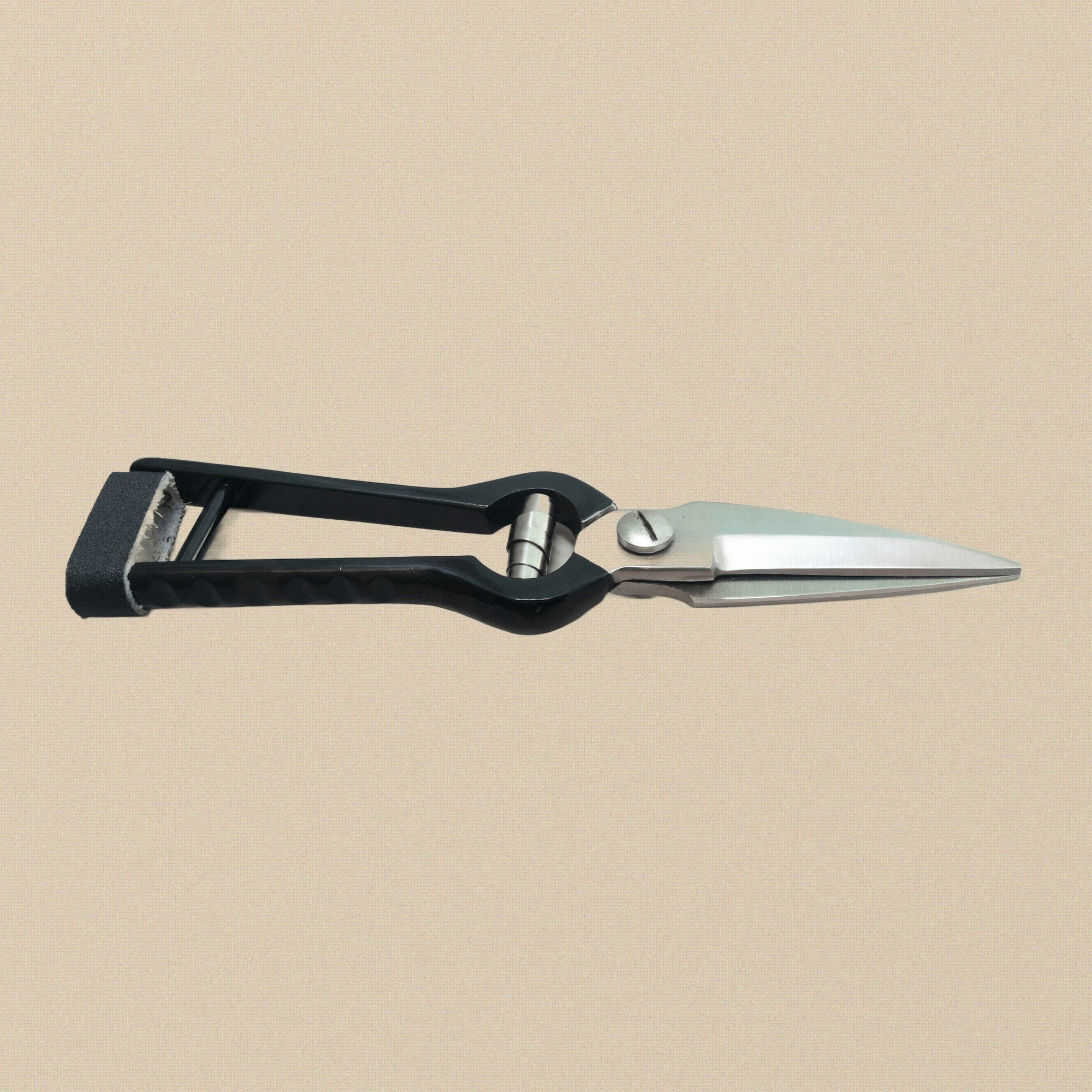 The hoof trimming shears held open to show the full length of the blades and handles.