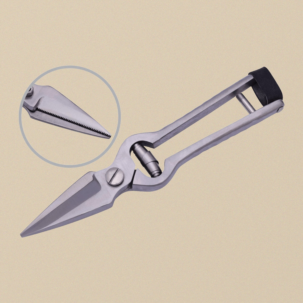 Polished stainless steel sheep hoof trimming shears with loop handles, showing the serrated and sharp blades.