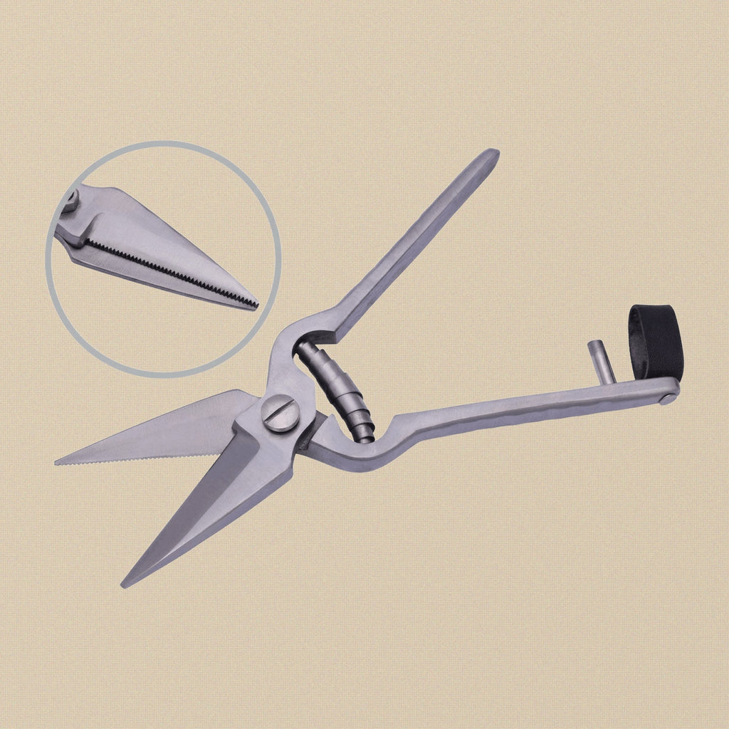Close-up of the serrated blade on the stainless steel foot rot shears, highlighting the cutting edge.