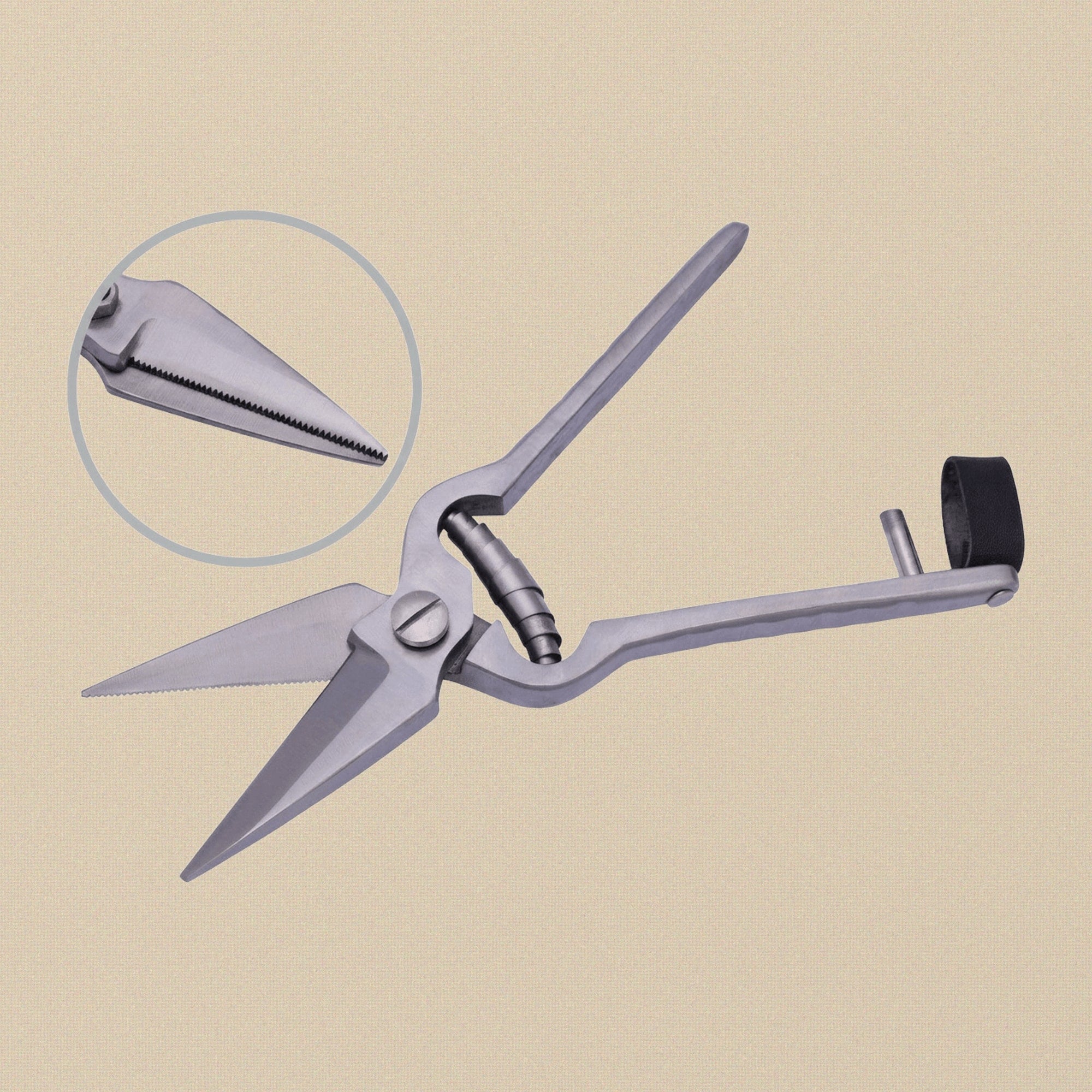Close-up of the serrated blade on the stainless steel foot rot shears, highlighting the cutting edge.